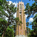 Florida's Bok Tower